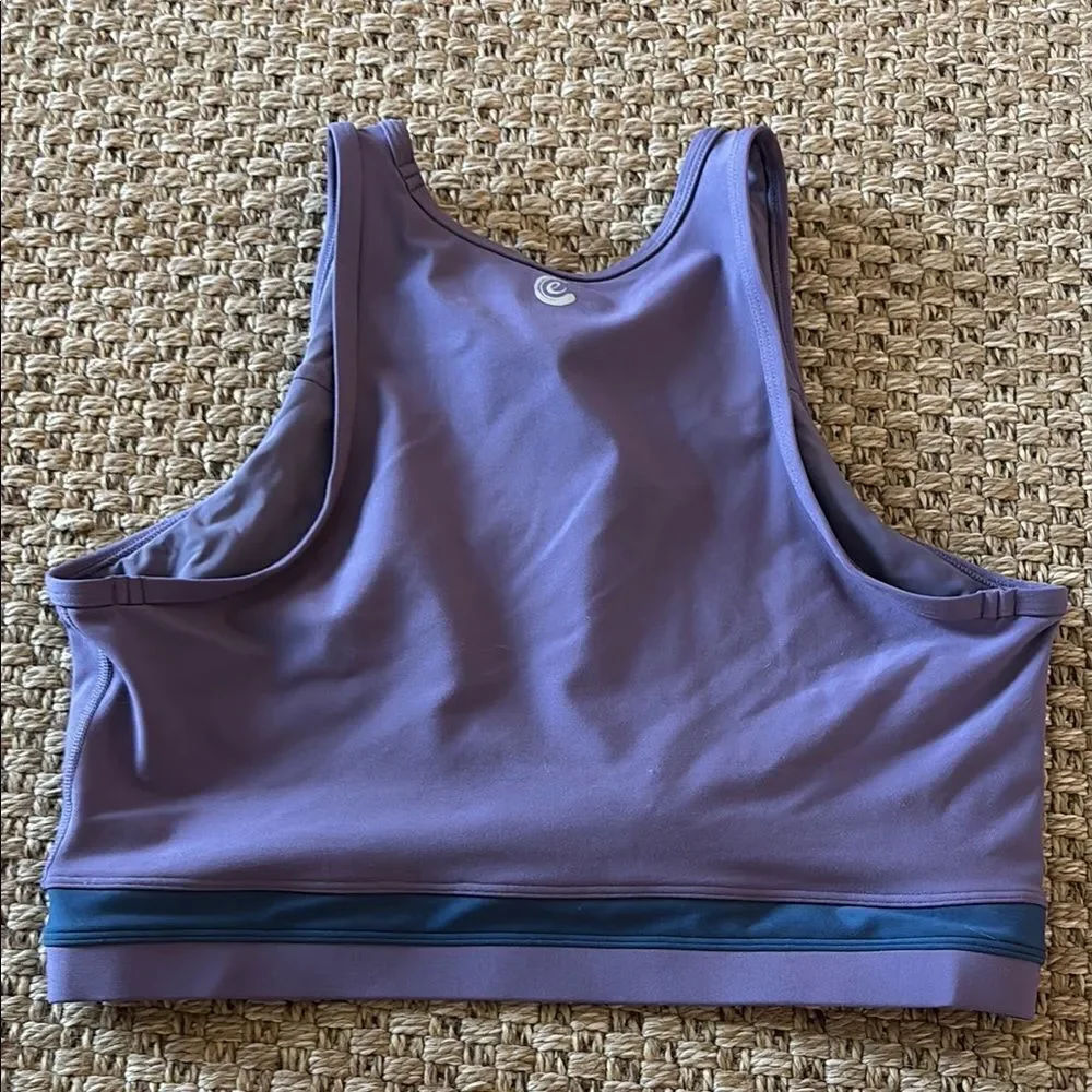 Johnny Was Purple and Teal Bra